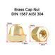Латунна ковпачкова гайка М8 Brass Cap Nut M8 DIN 1587