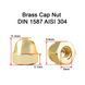 Латунна ковпачкова гайка М6 Brass Cap Nut M6 DIN 1587